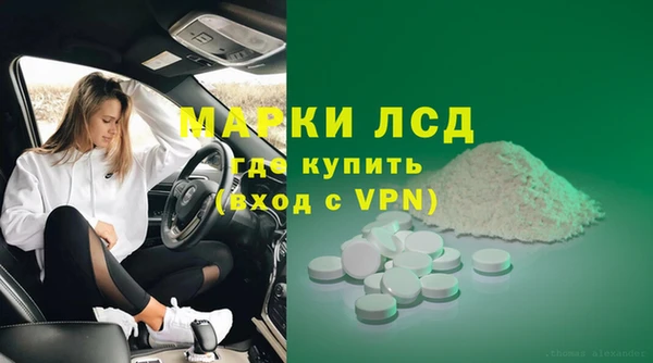трава Белокуриха