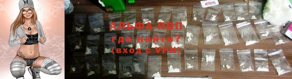 трава Белокуриха