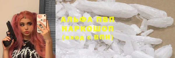 трава Белокуриха