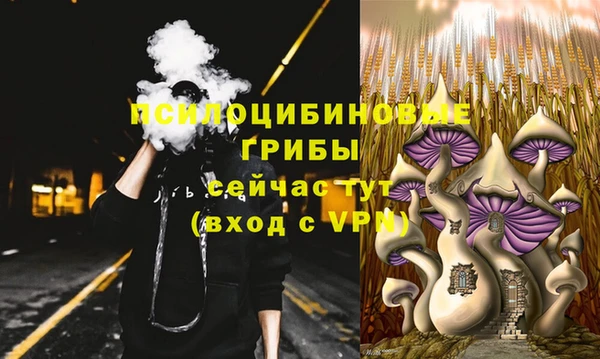 прущие грибы Белоозёрский