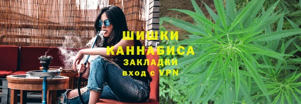 прущие грибы Белоозёрский