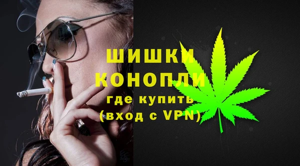 трава Белокуриха