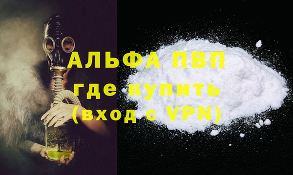 трава Белокуриха