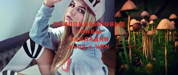 спайс Беломорск