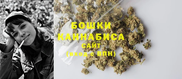 прущие грибы Белоозёрский