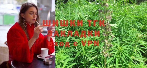 трава Белокуриха