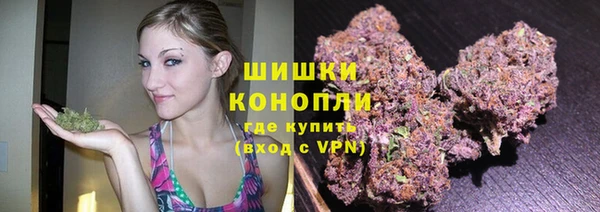 трава Белокуриха