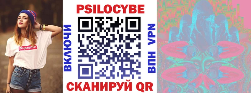 купить наркотики сайты  Гороховец  Галлюциногенные грибы MAGIC MUSHROOMS 